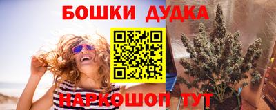 гашик Краснознаменск
