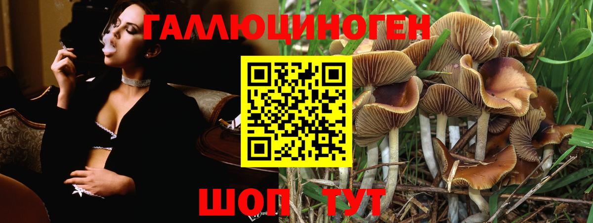 Псилоцибиновые грибы Magic Shrooms  Галлюциногенные грибы ЛСД  Вход с VPN  Ковров 